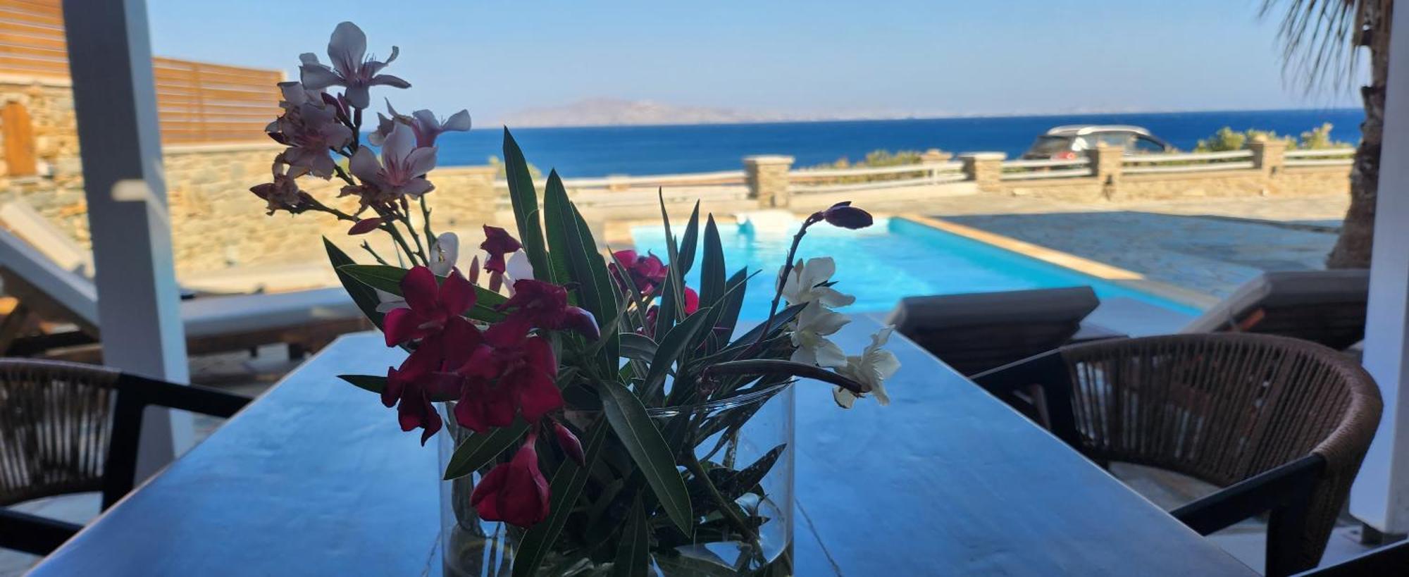 Santamare Villa Wyspa Wyspa Tinos Zewnętrze zdjęcie